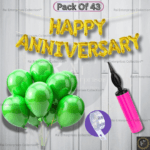 Rai Enterprises Collection™ Golden Happy Anniversary Balloon Decoration Set – Green Metallic Balloons, Arch & Pump (43 Pcs)